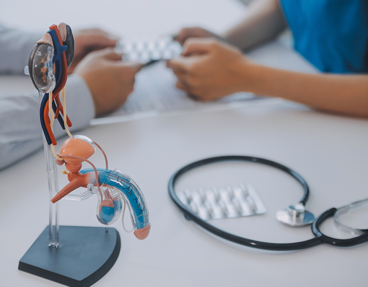 Más allá del PSA: cómo el estilo de vida influye en la salud prostática